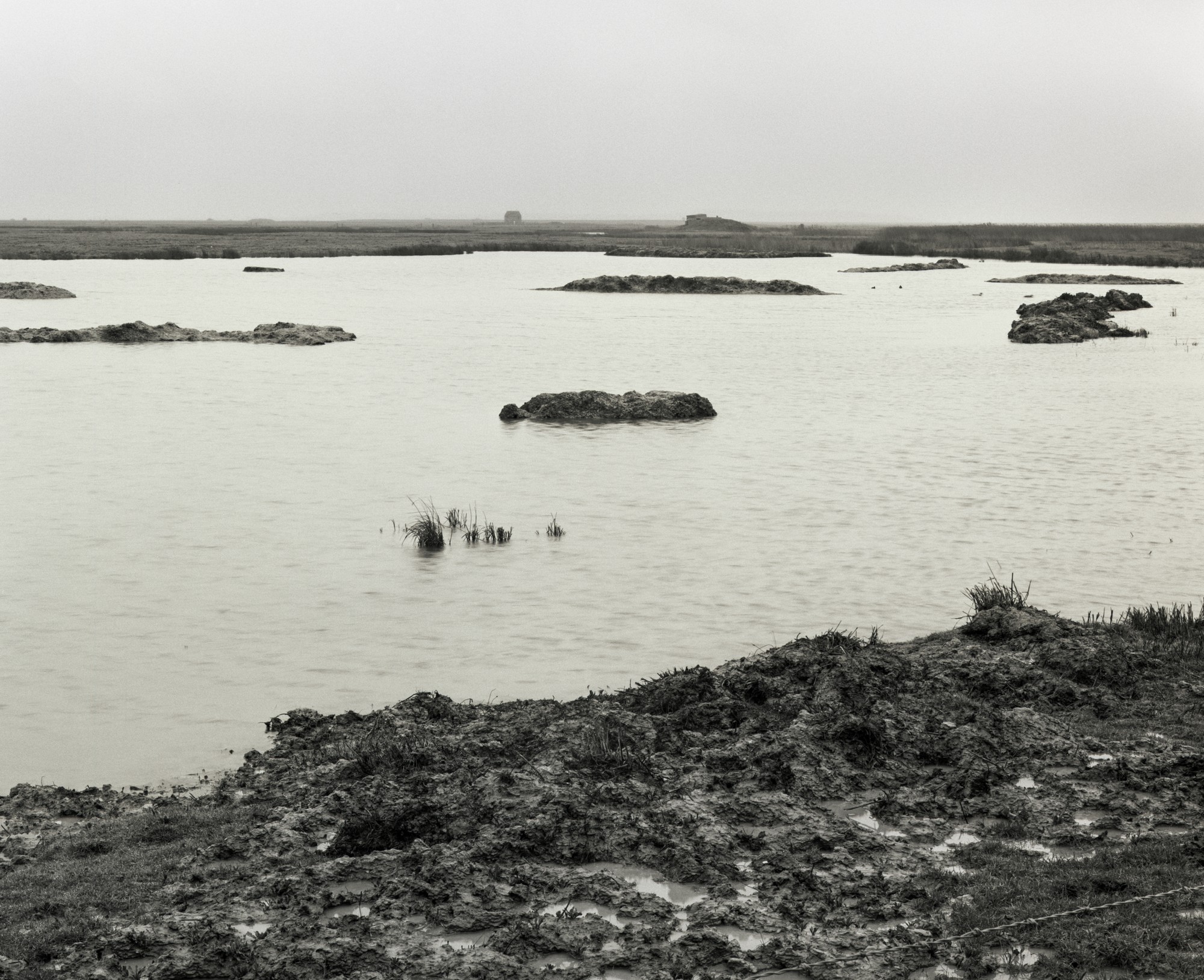 A flooded stretch of the marsh