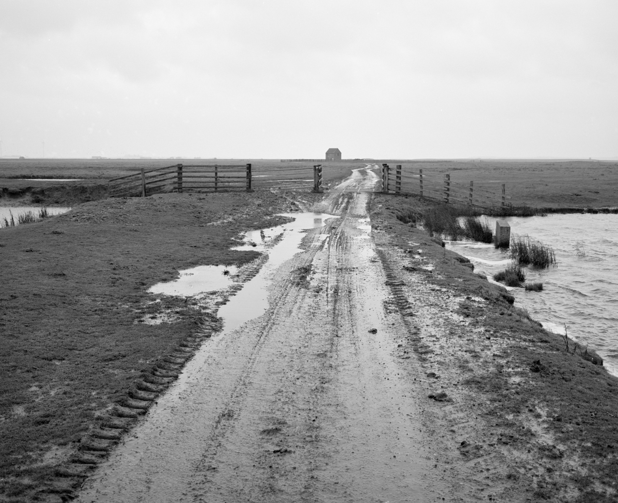 A wet track running out to a gate