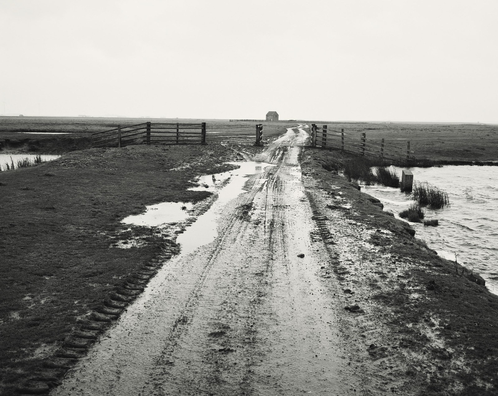 A wet track running out to the water